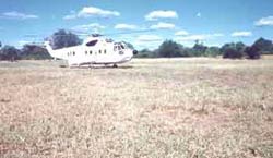 image_gallery (7).jpg