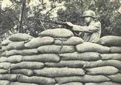 image_gallery (7).jpg