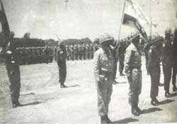 image_gallery (12).jpg