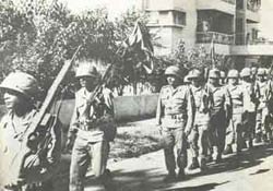 image_gallery (3).jpg