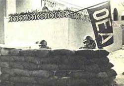 image_gallery (6).jpg