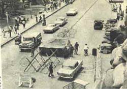 image_gallery (2).jpg