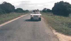 image_gallery (6).jpg