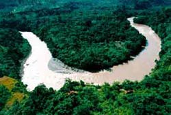 image_gallery (1).jpg