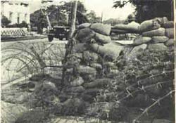 image_gallery (5).jpg