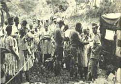 image_gallery (15).jpg